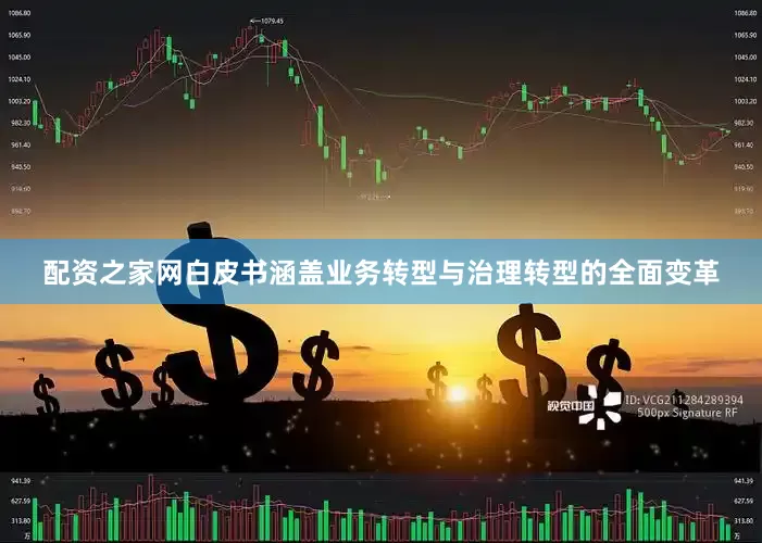 配资之家网白皮书涵盖业务转型与治理转型的全面变革