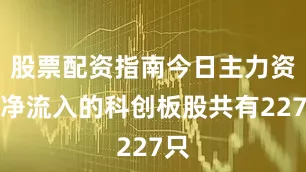 股票配资指南今日主力资金净流入的科创板股共有227只