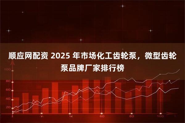 顺应网配资 2025 年市场化工齿轮泵，微型齿轮泵品牌厂家排行榜