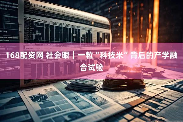 168配资网 社会眼｜一粒“科技米”背后的产学融合试验