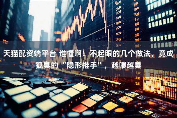 天猫配资端平台 谁懂啊！不起眼的几个做法，竟成狐臭的 “隐形推手”，越喂越臭